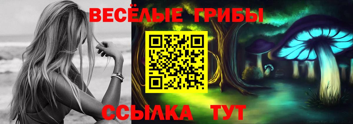 Галлюциногенные грибы ЛСД Торжок